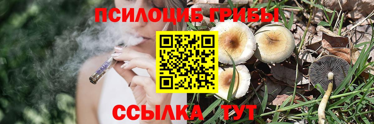 Псилоцибиновые грибы Magic Shrooms Соль-Илецк