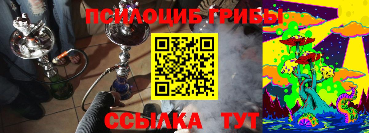 Галлюциногенные грибы Psilocybe  Вход с VPN  Галлюциногенные грибы MAGIC MUSHROOMS  Соль-Илецк 